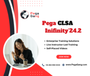  Pega CLSA V’24.2 Online Training Live by Real-Time Experts PegaGang